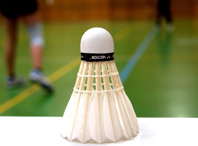 Badminton i Danmark og de reelle udgifter for begyndere og øvede